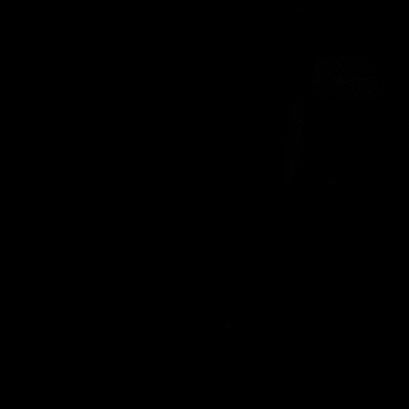 Necklace - Picture 4 of 4